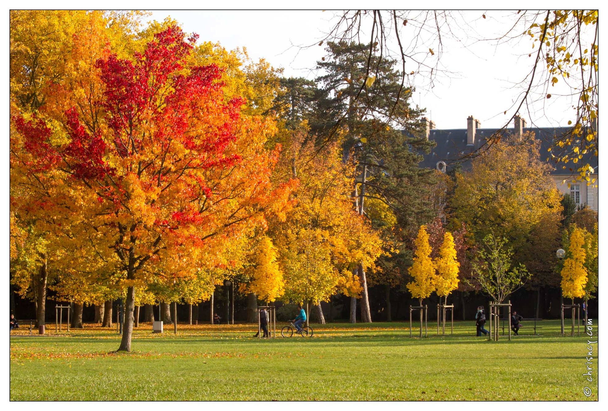 20111101-7987-Automne_pepiniere_nancy.jpg