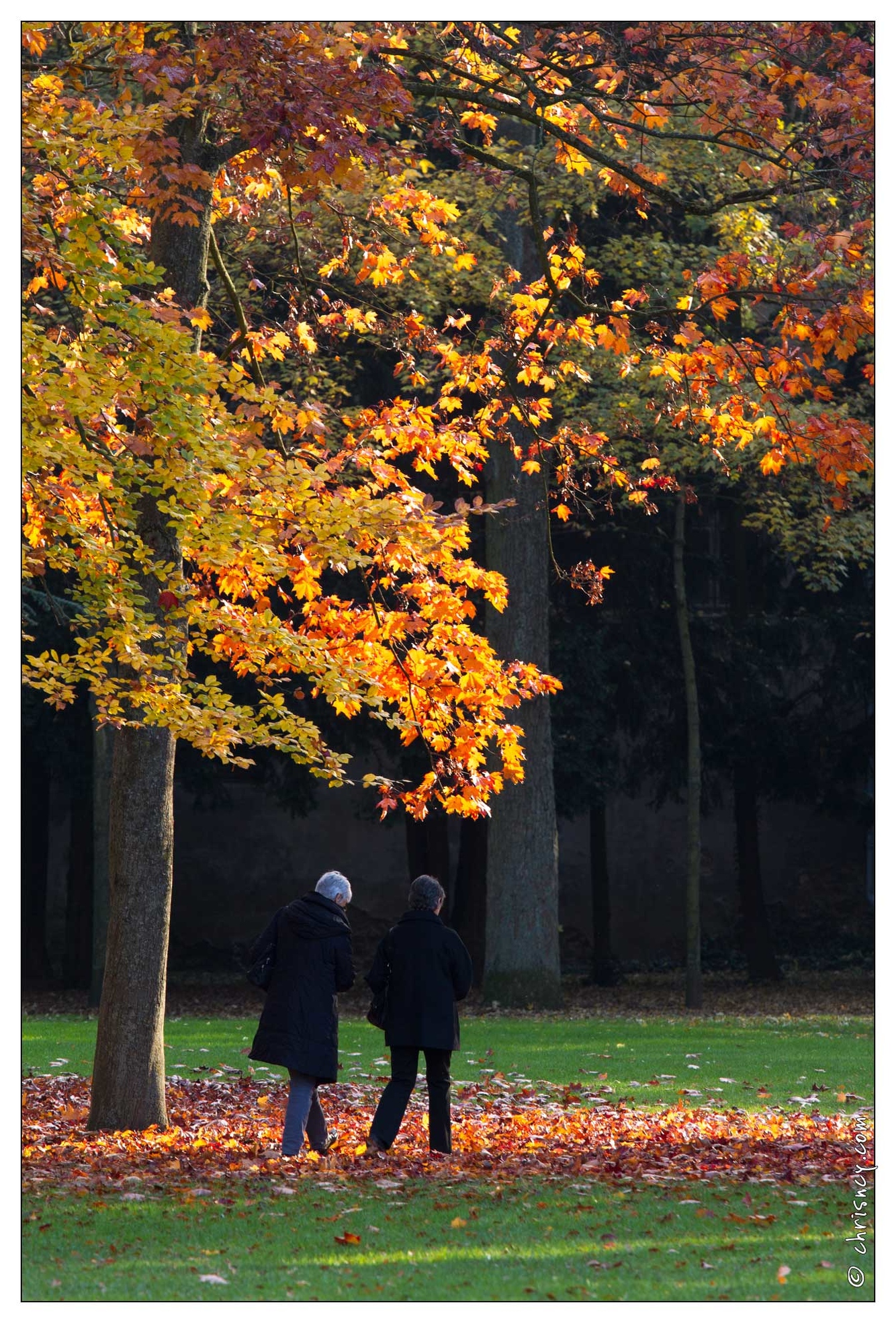 20111101-8017-Automne_pepiniere_nancy.jpg