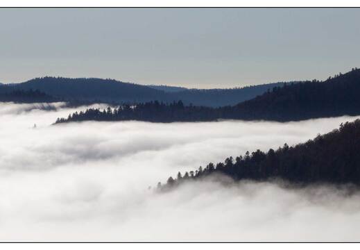 20111111-11 8069-Vosges au dessus des nuages