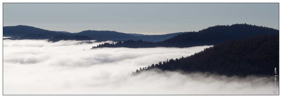 20111111-11 8069-Vosges au dessus des nuages