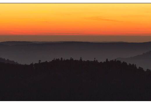 20111111-14 8277-Vosges au dessus des nuages