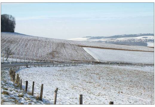 20120212-8467-Landremont sous la neige