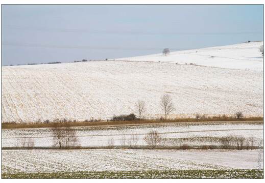 20120212-8476-Landremont sous la neige