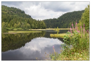 Lac de Lispach