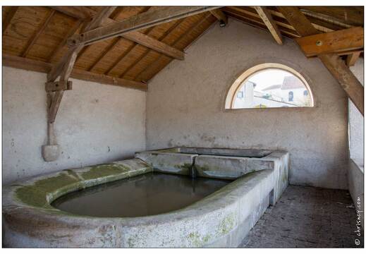 20150317-02 0061-Rugney