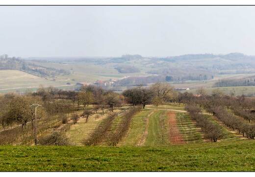 20150317-16 0089-Gugney aux Aulx  pano