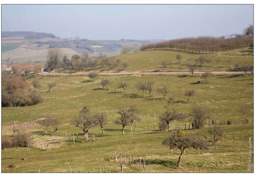 20150317-18 0091-Gugney aux Aulx