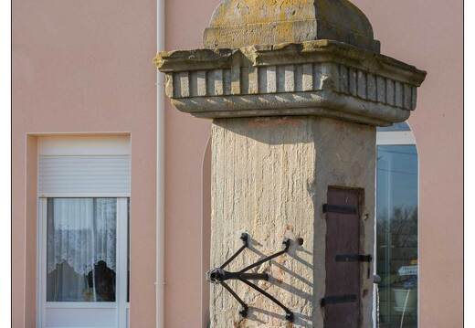 20150317-28 0105-Vomecourt sur Madon