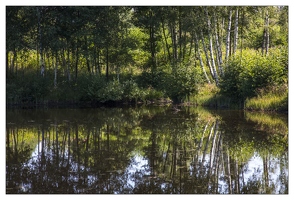 20130823-17 2260-Plateau des mille etangs