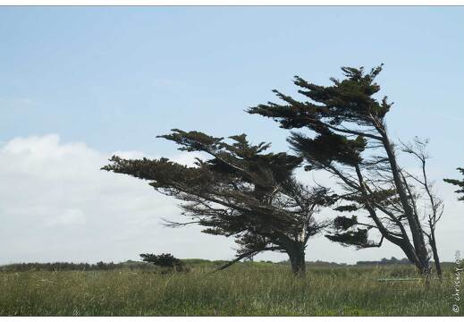 20120522-16 2032-Oleron Cote Nord Ouest