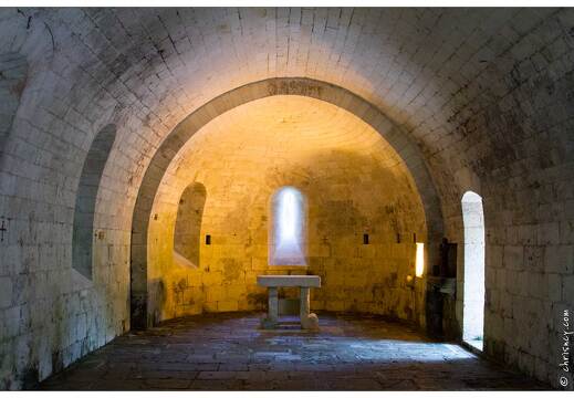 20120523-21 2156-Abbaye de Fontdouce