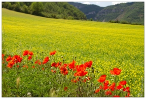 Aveyron 12