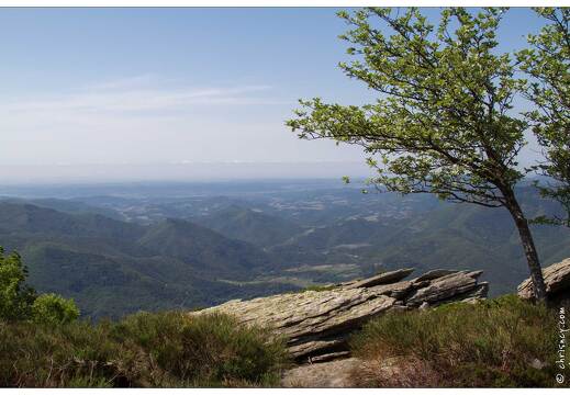 20120602-06 2999-Le Caroux