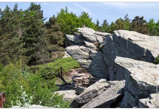 20120602-10 3013-Le Caroux