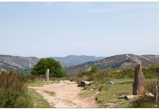 20120602-16 3021-Le Caroux