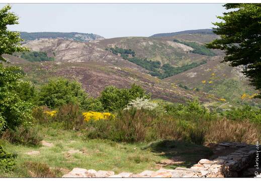 20120602-17 3024-Le Caroux