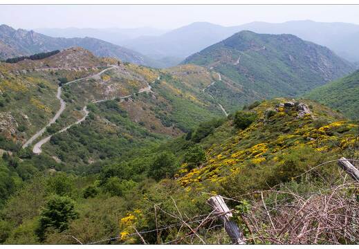 20120602-30 3058-Espinouse