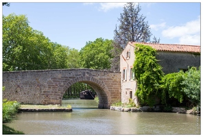 20120604-32 3135-Pigasse canal du midi