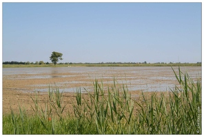 20020512-0136-La Camargue