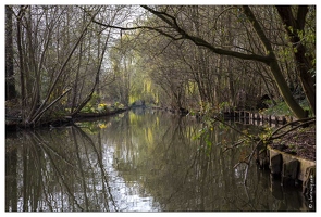 20150407-82 0476-Amiens Les Hortillonnages