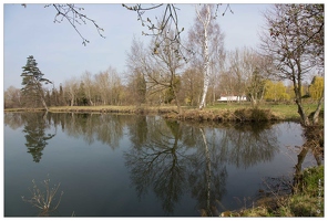 20150408-26 0551-Etang de la chaussee du Catelet