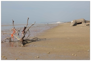 20150410-24 0718-dune Saint Frieux