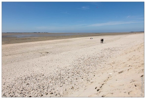 20150412-33 0800-Baie de Somme Le Crotoy