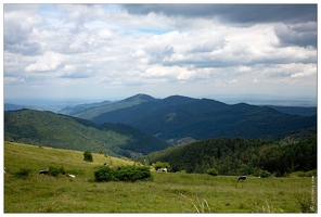 20150619-23 1810-Les cretes vues de la route du petit ballon