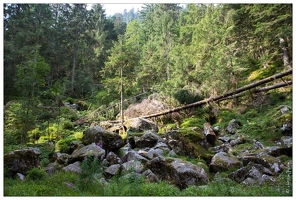 20150812-09 2114-Défile de Straiture la glaciere