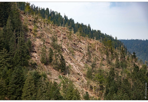 20150812-22 2151-Défile de Straiture