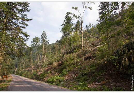 20150812-23 2112-Défile de Straiture totnade ùai 2015