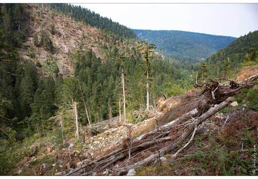 20150812-24 2155-Défile de Straiture tornade mai 2015