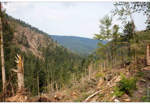 20150812-25 2148-Défile de Straiture