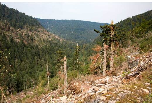 20150812-26 2156-Défile de Straiture tornade mai 2015