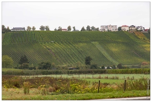 20151005-004 3237-Vallee de la moselle Stadtbredemius