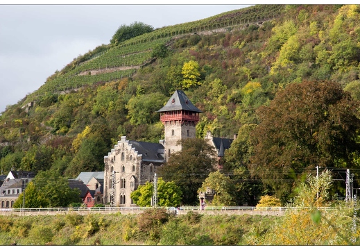 Alken Treis-Garden et la moselle