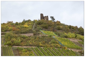 20151007-092 3846-Vallee du Rhin Lorch Ruines Horstein