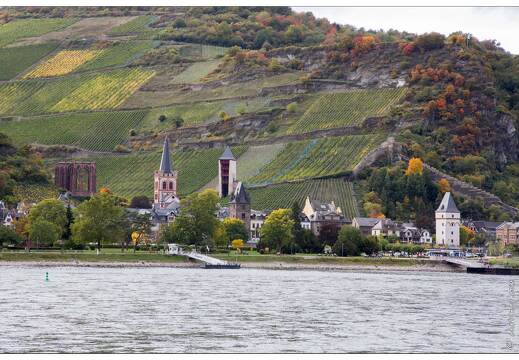 20151007-094 3850-Vallee du Rhin Lorch Vue sur Bacharach