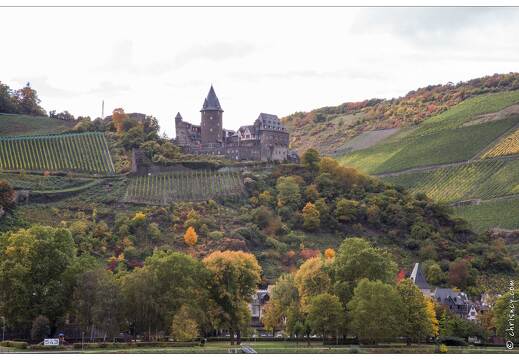 20151007-095 3851-Vallee du Rhin Lorch Vue sur Bacharach et Burg Stahleck