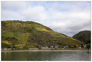 20151007-034 3717-Vallee du Rhin Zu Fellen vues sur les vignes