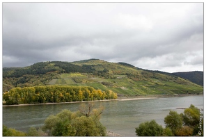 20151007-066 3776-Vallee du Rhin Niederheimbach chemin du Sooneck Vue vallee et pentes viticoles
