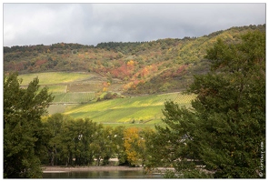 20151007-067 3777-Vallee du Rhin Niederheimbach chemin du Sooneck Vue vallee et pentes viticoles