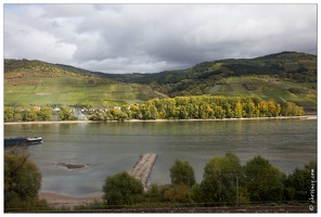 20151007-068 3778-Vallee du Rhin Niederheimbach chemin du Sooneck Vue vallee et pentes viticoles