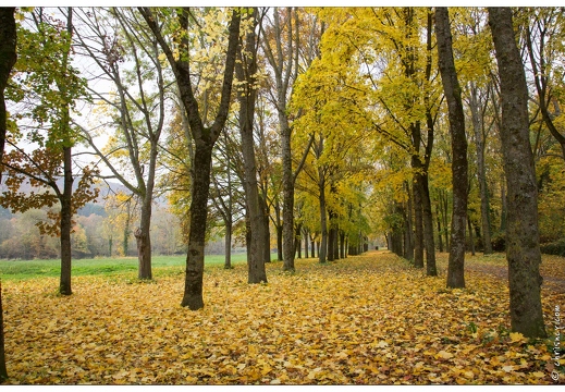 Metz véloroute Charles le Téméraire