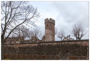 Obernai