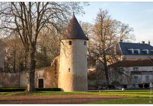 20151203-18 5846-Vic sur Seille le Chatelet d'entree 