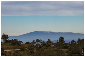 20160123-05 6833-Le Ventoux vu des Alpilles