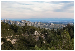 20160123-06 6829-Les Alpilles