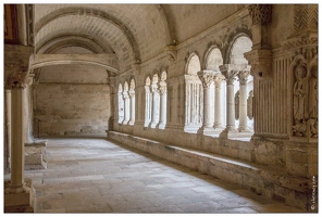 20160123-13 6734-Arles Abbaye de Montmajour le cloitre