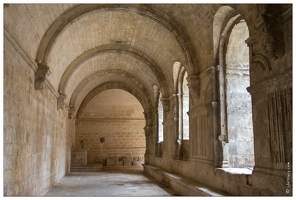 20160123-17 6748-Arles Abbaye de Montmajour le cloitre